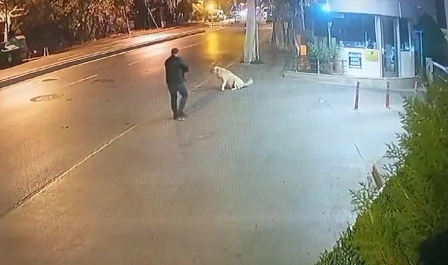 Köpeğe silah doğrultan şüphelinin dokuz ayrı suçtan kaydı çıktı - Gündem - Ayandon