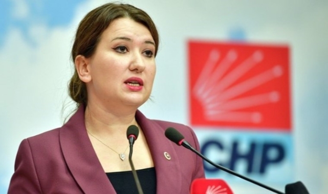 Gökçen'den TBMM tutanaklarının silinmesine tepki: 