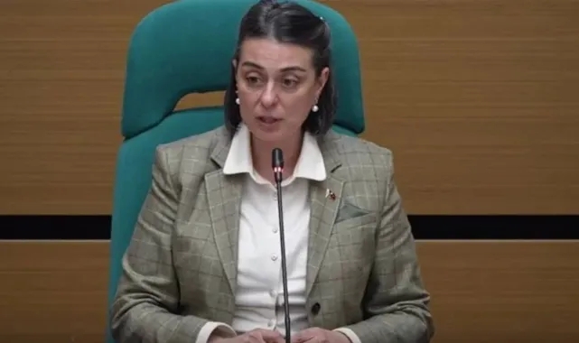 Sinem Dedetaş, Melih Gökçek'in paylaşımlarına sert tepki gösterdi